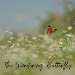 The Wandering Butterfly