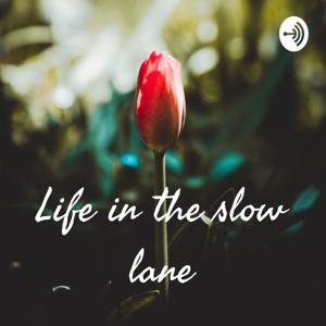 Life in the slow lane