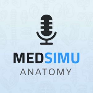 MedSimu Anatomy