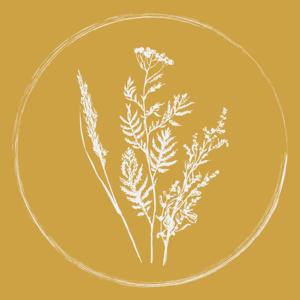 Artemisia Farm & Vineyard Newsletter