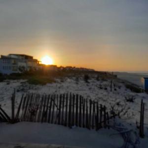 Beach Patrol 11561