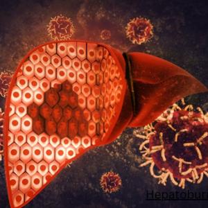 Liver Detox and Weight Loss