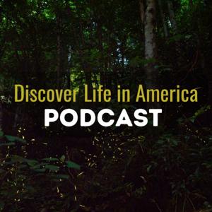 Discover Life in America Podcast