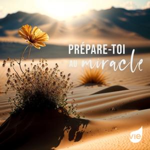 Prépare-toi au miracle