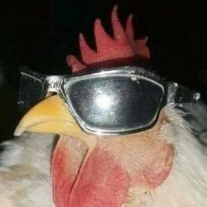 Very Sustainable Podcast