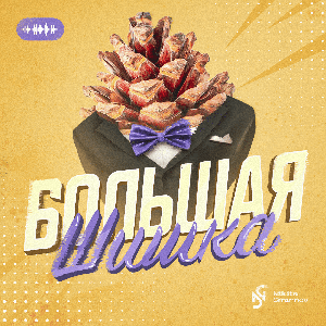 Большая шишка