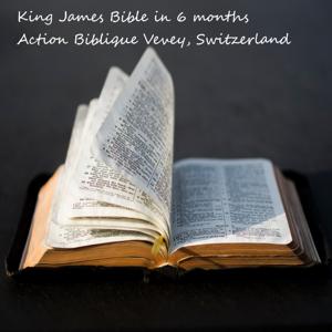King James Version in 6 months