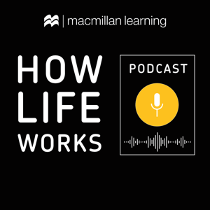 The How Life Works Podcast