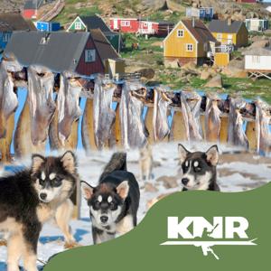 Piorsarsimassuseq, KNR