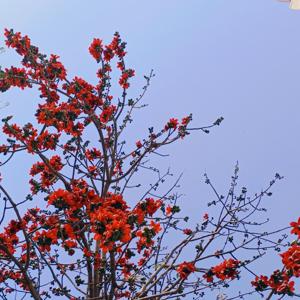 ZindagiNama- with Ojaswani Sharma