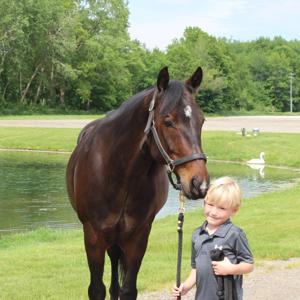 Horse Bits presented by Shaper Enterprises
