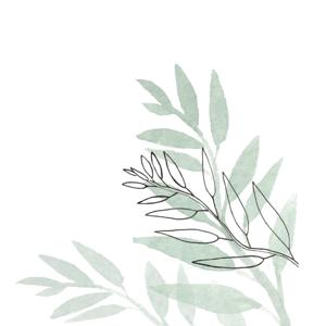 მონოლოგები