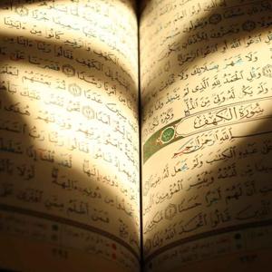 Kur'an Dinle, Türkçe Açıklamalı Meal