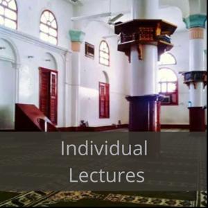 Individual Lectures