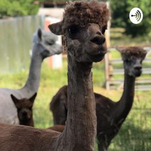 The Gentleman Farmer Podcast