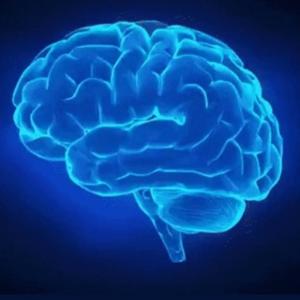 The Revolution Podcast