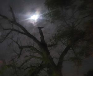 The Known And Unknown