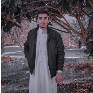 دروس ومحاضرات الشيخ وليد بن راشد السعيدان