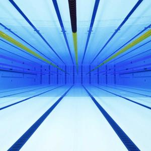 Diving into the Swim World