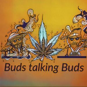 Bud's Talking Buds Podcast