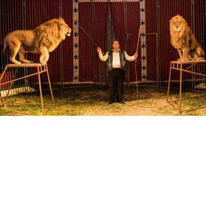 Oferta Domador Leones
