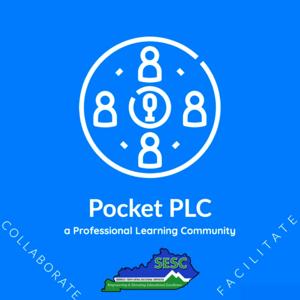 SESC Pocket PLC
