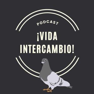 Vida Intercambio