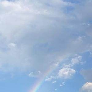 everything in between