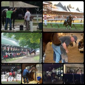 The Real Players Inside The Backstretch