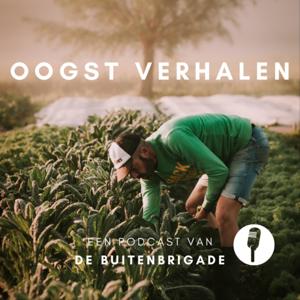 Oogst Verhalen