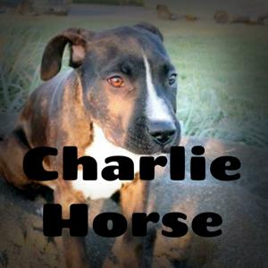 The Charlie Horse Podcast