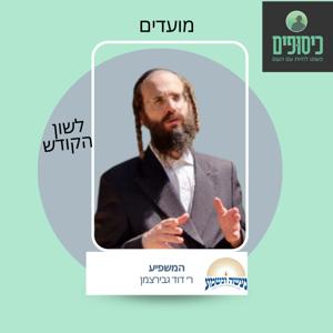 רב דוד גבירצמן - מועדים