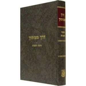 Shoresh Mitzvah HaTefillah with Rabbi Dovid Faiden