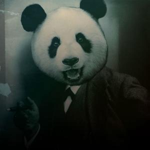 Um Panda à toa