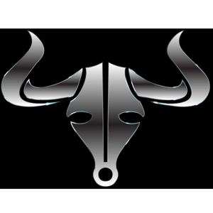 C "The Bull" Ski