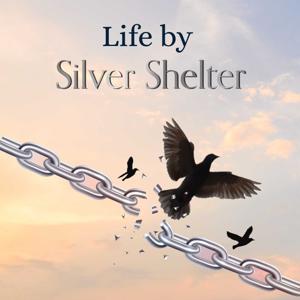Life By Silver Shelter