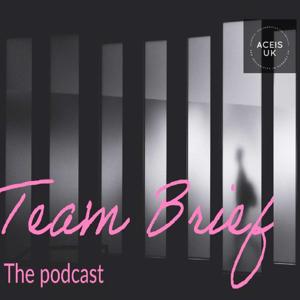 Team Brief