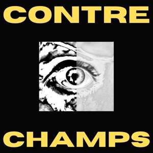 Contre-champs