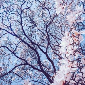 El podcast de Paula Egea Ruiz