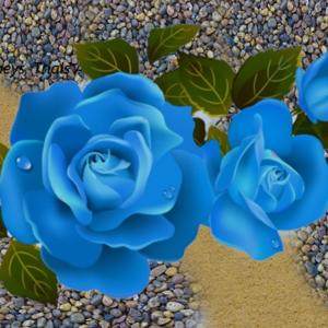 Journeys, Trials and Joy