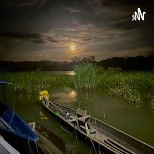 Hablando con Chamanes