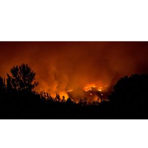 incendio forestal