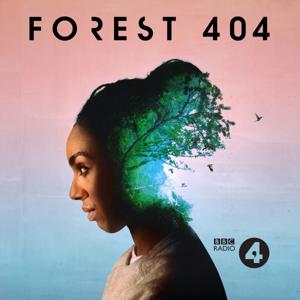 Forest 404 by BBC Radio 4