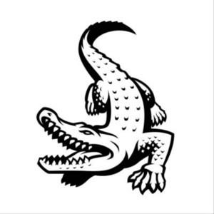 Croco Podcast