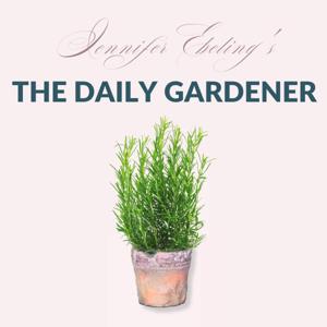 The Daily Gardener