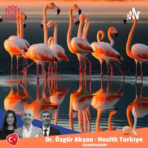 A Neurosurgery Podcast