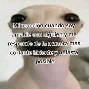 POV: Le pides awa a tu papá