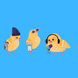 3 Chicks, 1 Pod