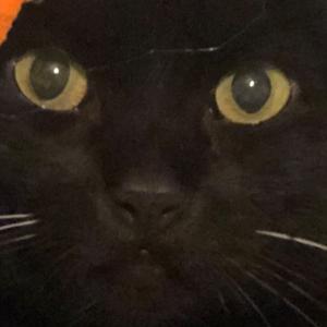 I don’t know sure? Podcast