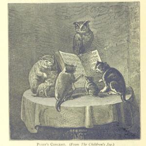 PotatoLadyのAre you ready?🍟🎤